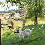 Apartman Klausenhansenhof *