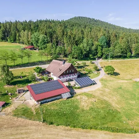 Klausenhansenhof Apartment