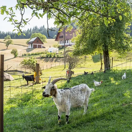 Apartmán Klausenhansenhof *