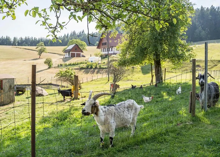 Klausenhansenhof Lejlighed