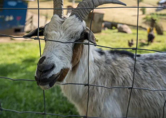 Klausenhansenhof Lejlighed *